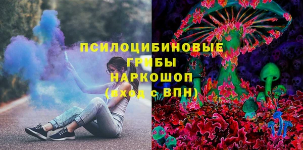 PSILOCYBIN Бородино